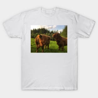 Scottish Highland Cattle Calves 2010 T-Shirt